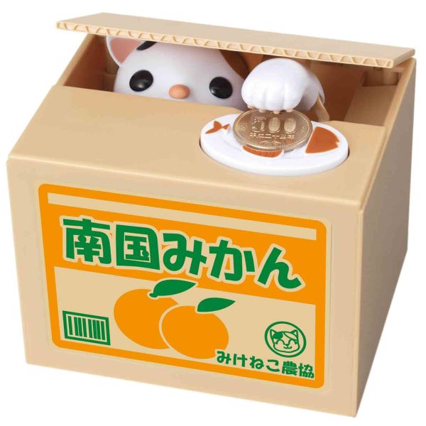 Cat in Box Bank